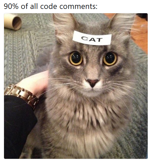 Cat Comment